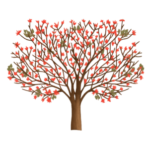 Árbol